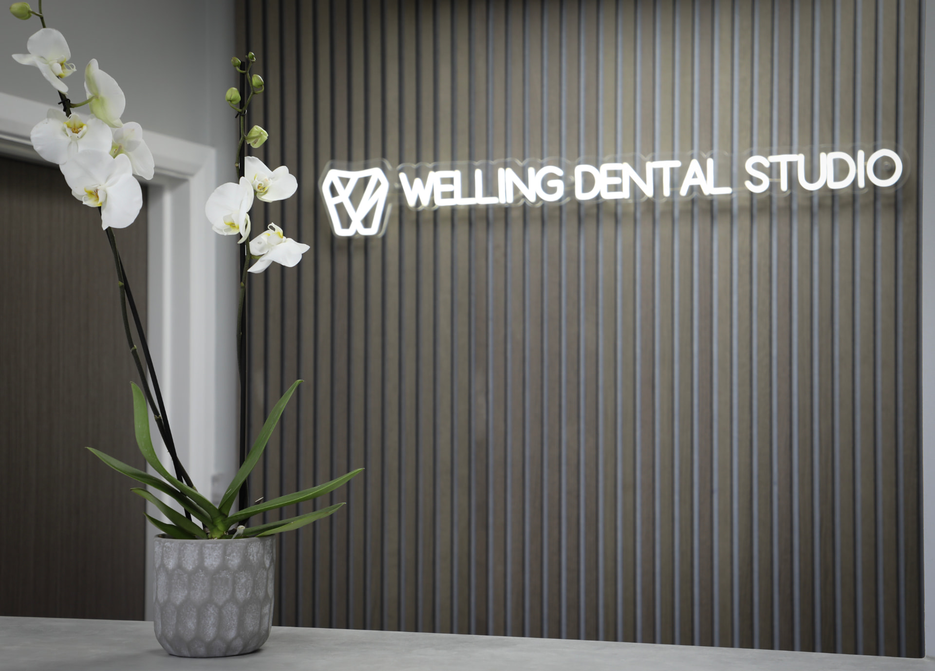 The Welling Dental Studio neon sign above the reception desk